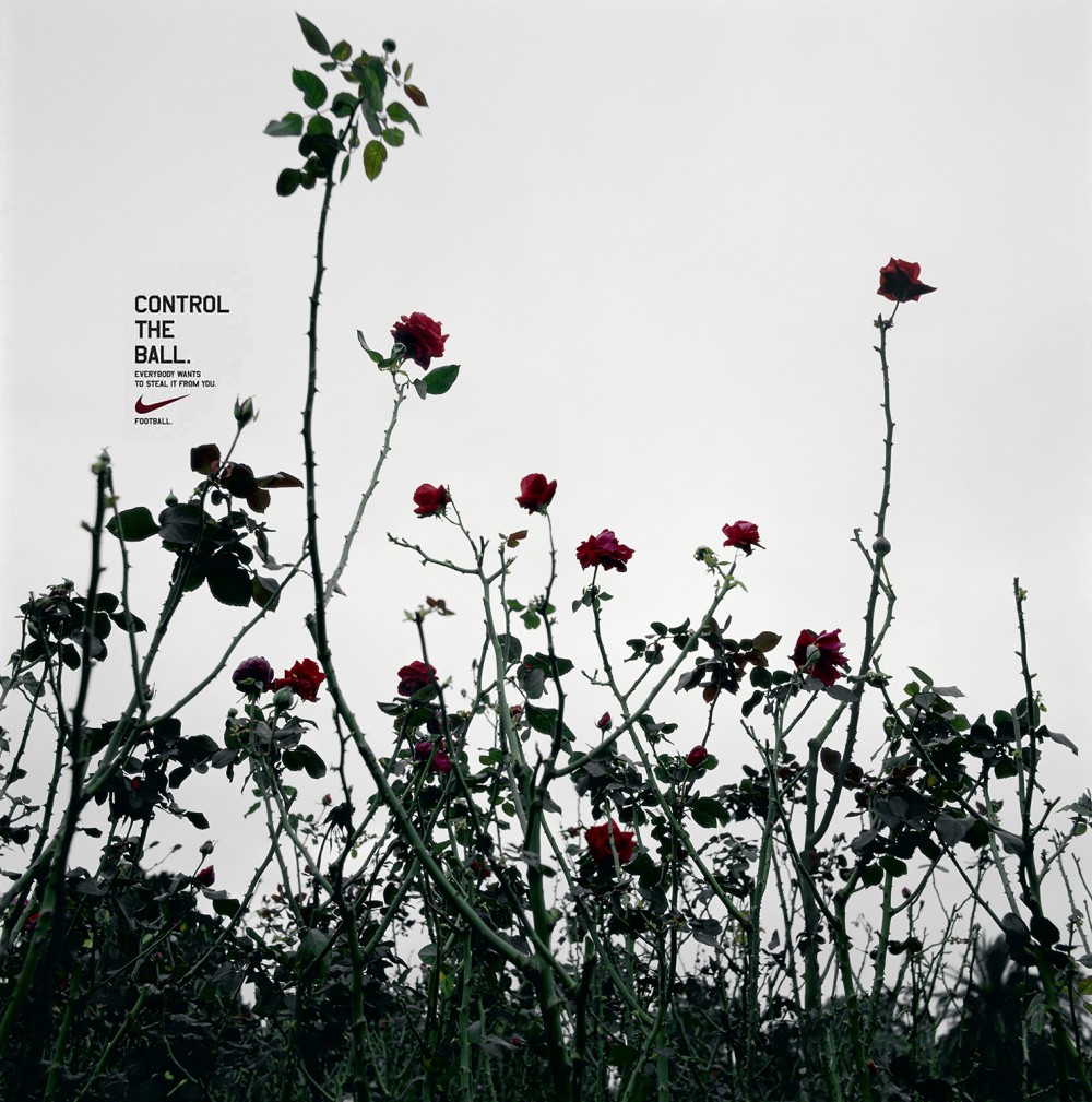 NIKE Roses & tree image